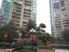 杨家坪步行精装4房2卫看中庭湖恒大绿洲B区