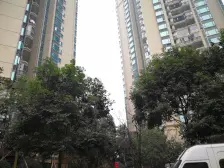 恒大绿洲B区 4室0厅 南