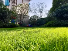 新力合园 南北通透,采光好 周边匹套完善,,出行方便