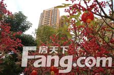 刚需三房,高层视野好,位置安静