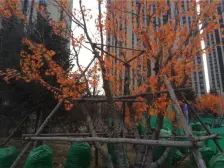 前排全天采光无遮挡,一梯一户3.3米举架,百万品质精