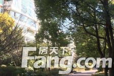 天安带大院子叠加 喜欢养宠物人群的不二选择