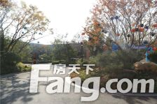 亦庄金茂府 3室2厅 南 北