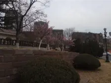 中山秀月封闭小区一楼可以围园子三室清水单价低氧吧