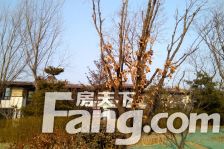 大兴其它·华远和煦里·3室·2厅