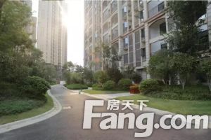 湾里香逸熙园 南北通透 非顶楼 上下两层 总面积大