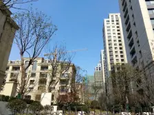 新上金茂一期大三房 位置好视野无遮挡 不靠高架