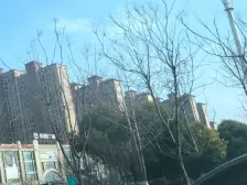 华强城四期 前排运河景观 精装修3房 有车位