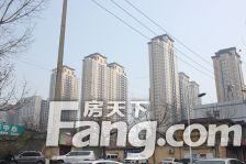 金泰南府 洋房顶复带露台 带俩车位 实用290平 证过二