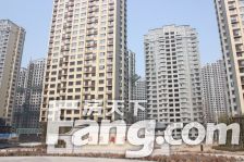 溪苑兰亭 好楼层 大三居 双阳台 135平 过二 急卖