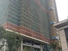 碧桂园岭南盛世叠墅 4室1厅 南