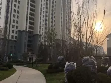 鲁商运河公馆 3室2厅 南 北