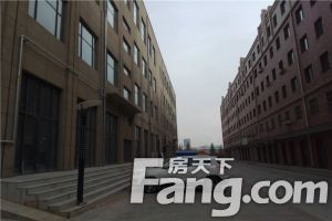 金澜湾 2室2厅 南 北