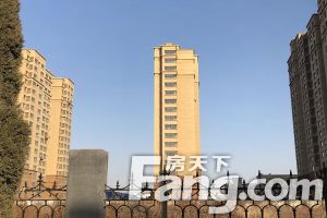 宏鼎凡尔赛丽都 3室2厅 南 北