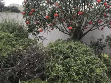 水悦城商圈 颐和雅郡精装四房 诚心出售