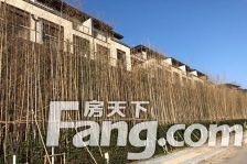 万科蓝山 毛坯方便 改造灵活多变 随时看房