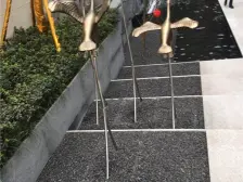 近轻轨洋房,品质好,小区环境好