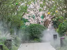 纯毛坯边套联排 带2个车位,地上三层,地下2层