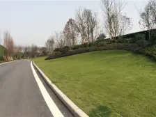 富悦麓山别苑 4室1厅 东南