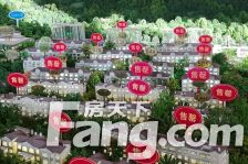 和楼上三层一起卖,不单独出,精装领包入住,有大边院