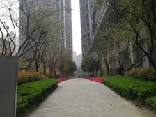 恒大都汇华庭 1室1厅 东