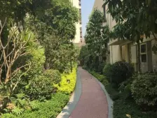 业主急售 好楼层 好地段 视野开阔