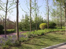 中建洋房壹号 4室2厅 南 北