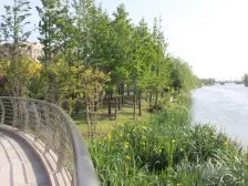 多层电梯洋房,一楼带院,精装修,楼上楼下一家