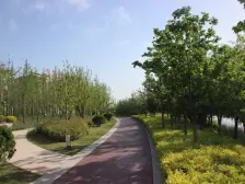 洋房社区 顶加阁 采光视野都很好