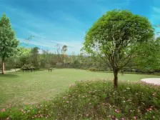 云熙台一楼带大花园洋房 次新小区