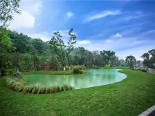 高品质,纯洋房小区,实得面积大的优质顶跃五跃六