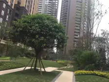 和泓江山国际 1室1厅 东南