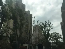 次新小区,三房,满五,诚心卖,看房方便