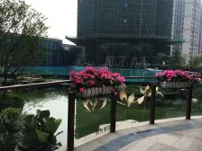 新福港全新未住过南北通透大四房 安静不靠路