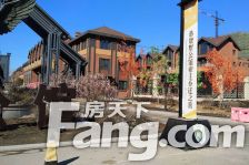 业主急售 墅公馆联排别墅 有电梯 全屋高档装修 带花园