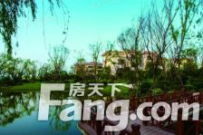 碧桂园凤凰城翡翠岛C区 6室2厅 南