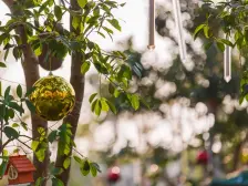 乐平碧桂园小区,4房2厅2卫,无个税,随时看房密码