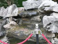 佛山院子 笋笋笋笋盘,包含产权车位