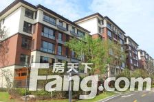 沂河畔 独栋别墅 大院子 带车位!