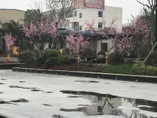 水悦城商圈 颐和雅郡 毛坯大四房 诚出