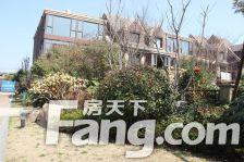 江南府邸联排别墅 前后院子 已改造