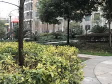 平湖天下观山水双阳台可以直接入住