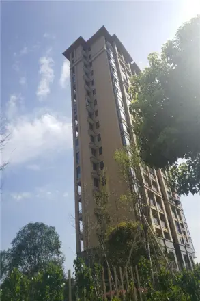 越府家天下