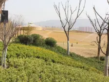 银河国际 优质好房 毛坯新房 带大花园