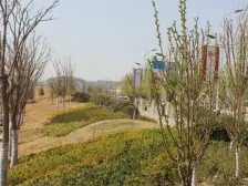 房子正规3室,南北通透,低楼层适合老人