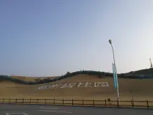 小区环境好,门口就是地铁口,奥特莱斯,房子朝南