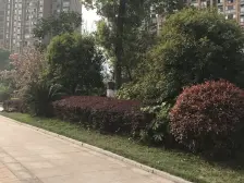 夷陵万达旁山水国际精装修家具家电齐全,中间楼层