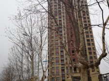 金地澜悦一楼带地下,2层使用面积,将近300平使用面积