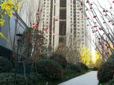 毛坯三房户型方正南通北透格局楼层好