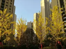 小两室 采光好 地铁口 现房